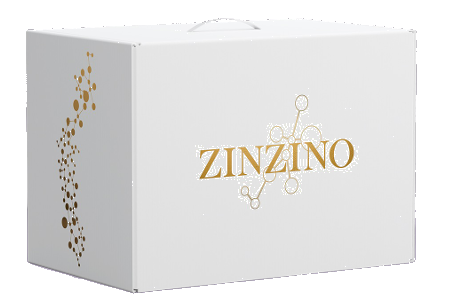 Zinzino Ultimate Partner Kit doboz